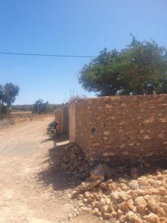 Maison a la nature - Bou Zammour - 2