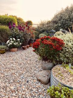 Pluto House - Kent - 2