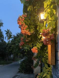 ký ức tươi đẹp homestay - Hue - 6