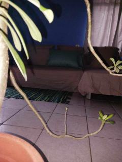 Bora rent - 9