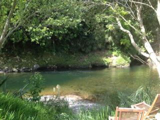 Oakura Pond Cottage - A unique kiwi holiday Bach - 5