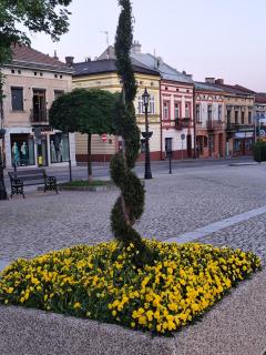 Apartament Deluxe w centrum Brzeska nr 2 - Brzesko - 4