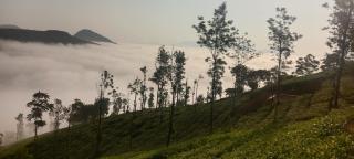 Silver home stay vagamon - Vagamon - 3