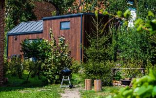 Organicle Lodge - Sîncrăieni - 6