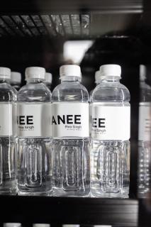 NANEE Phra Singh - 5