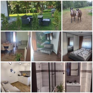 Apartament Leśna Przystań - 1