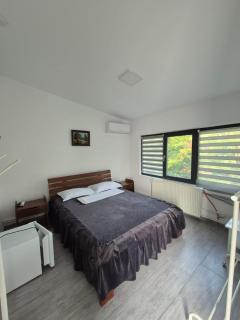 Casa de vacanta Larisa - Novaci-Străini - 9