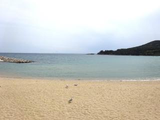 Kalamitsa Beachfront Escape - Kavala - 7