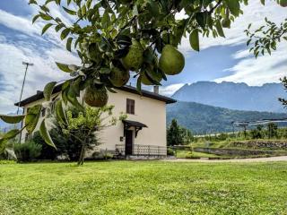 Lakeview apartment - Pergine Valsugana - 0