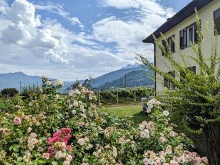 Lakeview apartment - Pergine Valsugana - 7