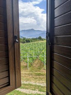 Lakeview apartment - Pergine Valsugana - 4