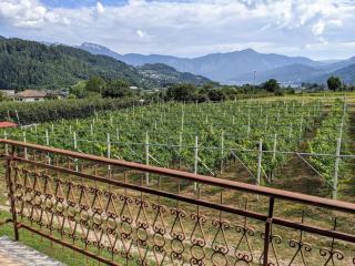 Lakeview apartment - Pergine Valsugana - 2