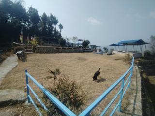 Bajra Hill - 4