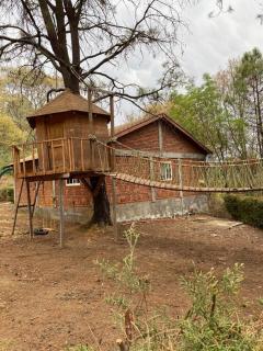 Hermosa Cabaña en bosque muy cerca Patzcuaro - - 5