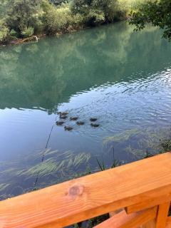 Apartmani Sladojević na Plivi - Jezero - 7
