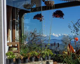 The Birdcage, Mukteshwar - Mukteshwar - 8
