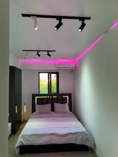 vip - Tashkent - 0