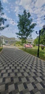vip - Tashkent - 2