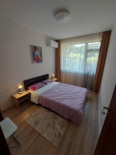 White grapes apartment - Petrič - 3