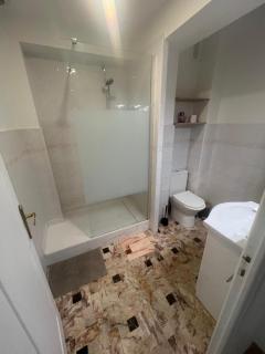 Grand appartement proche Promenade - Nice - 2