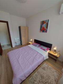 White grapes apartment - Petrič - 2
