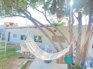 استراحة دسمان - 7