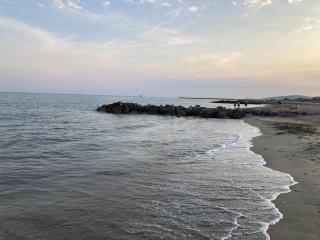 Mas de la Plage - Frontignan - 4