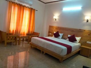 Panchakarma Retreat - Earth Roots Ayurveda - Rishikesh - 7