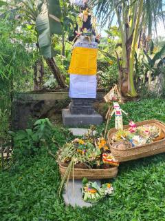 Rumah Guci - Ubud - 5