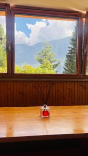 Residence Larici Belvedere - Folgarida - 7