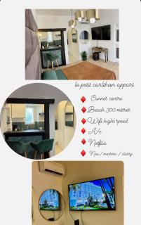 Le petit Carlthon appart - Cannes - 5