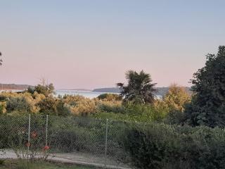 Nel verde - 3