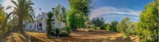 Modernisiertes Ferienhaus mit Gemeinschaftspool auf einem ländlich gelegenen Grundstück im Herzen von Andalusien - Carcabuey - 3