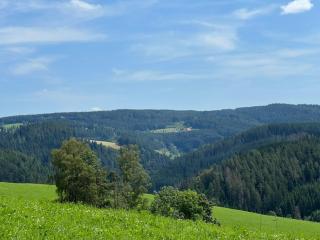 Landhaus Valentin - Triberg - 3
