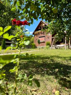 Cabana Oana 5-bedrooms chalet - 4