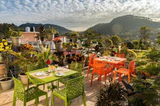 The Walnut Creek - Bhimtal - 1