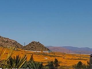 13 Steps - Springbok - 9