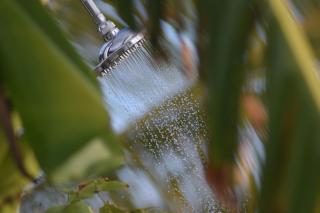 Wild Lotus Glamping - 3