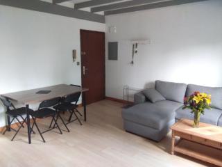 Appartement 43m2 Bayonne - Bayonne - 2