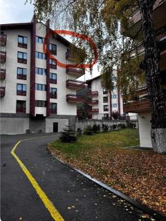 Bakuriani Inn Aparment - Bakuriani - 4
