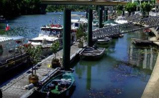 Bord de Marne 20mn Paris centre et 20mn Eurodisney - Nogent-sur-Marne - 6