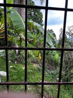 DiNancyCasolare - La Colonia, SC - 1