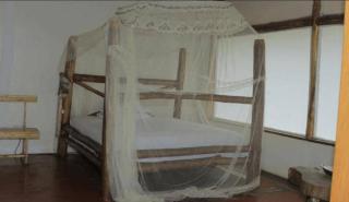 Baboon lodge Queen Elizabeth - - 9