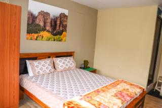 Themapleview - Ooty - 7