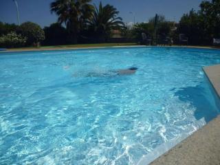 Penthouse Stefania with big pool - Castelsardo - 3
