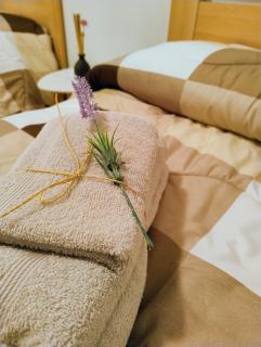 Casa vacanze LAGHI E MONTI - 0