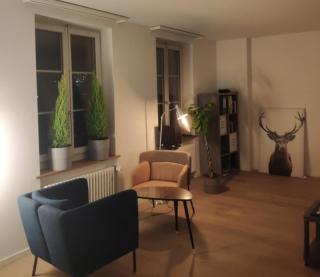 Loft im Herzen der Berner Altstadt - Berna - 9