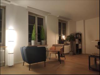 Loft im Herzen der Berner Altstadt - Berna - 1