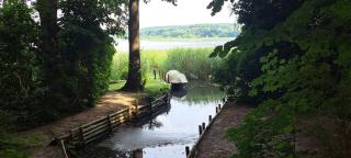 Ferienwohnung Am See mit kleinem Boot und 3er Kajak und 2 SUP - Storkow - 4