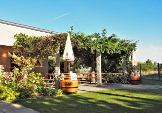 Jugendherberge Romanshorn - Romanshorn - 9